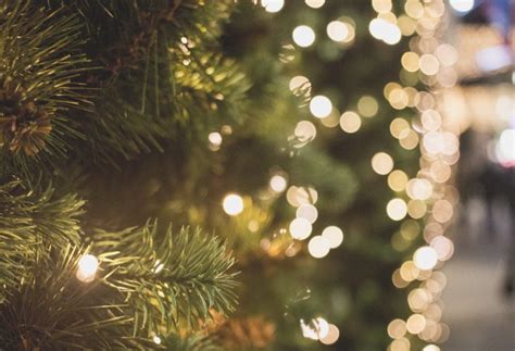 Christmas Lights Tree Bokeh Picography Free Photo