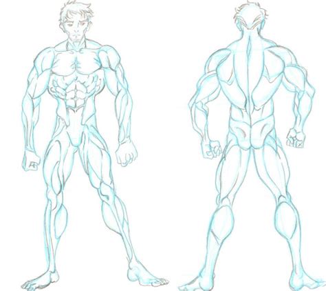 Back Muscles Drawing Reference Anime