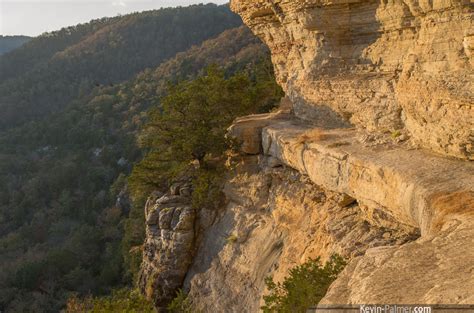 Jim Bluff Arkansas Tripcarta