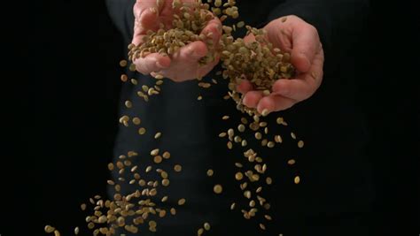 Man Spilling Seeds Stock Footage Video 2485856 Shutterstock