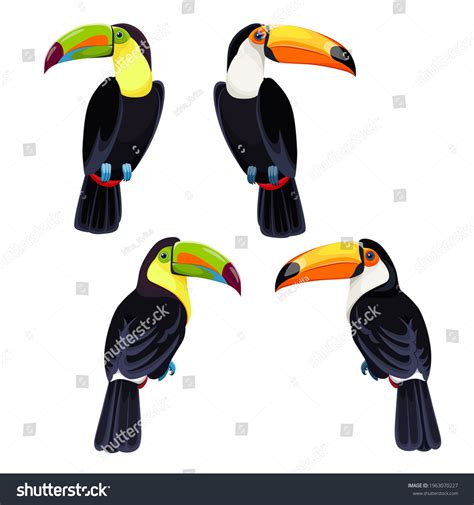 Tropical Birds Set Rainbowbilled Toucan Redbilled Stock Vector Royalty