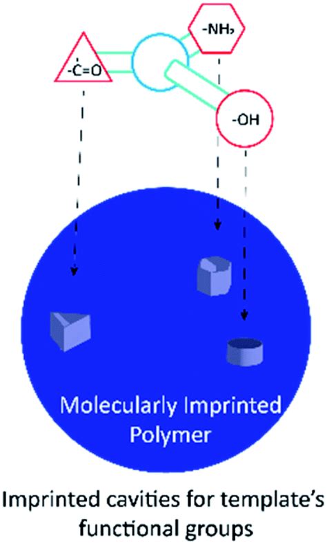 Molecularly Imprinted Polymers Via Reversible Additionfragmentation