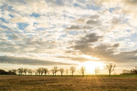 Gratis Afbeeldingen Landschap Boom Natuur Horizon Wolk Hemel