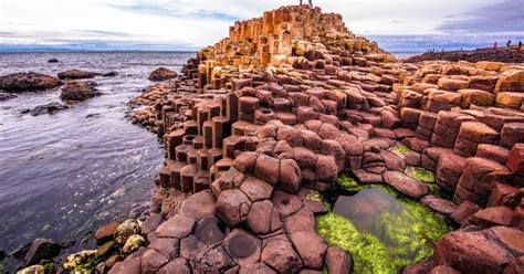 Fra Dublin Giants Causeway Og Game Of Thrones Locations Getyourguide