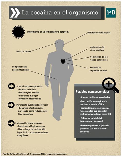 (vas a aprender los pasos basicos para hacer un pokito de plata.jeje.). Los efectos de la cocaína en el organismo - Revista ...