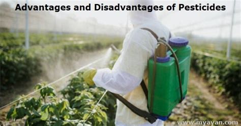 😱 Advantages Of Pesticides The Advantages And Disadvantages Of