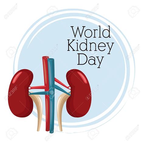 To mark world kidney day, here are important things you need to know about this vital organ and all of the heavy lifting it does to keep you healthy. World kidney day icon. Vector illustration graphic design ...