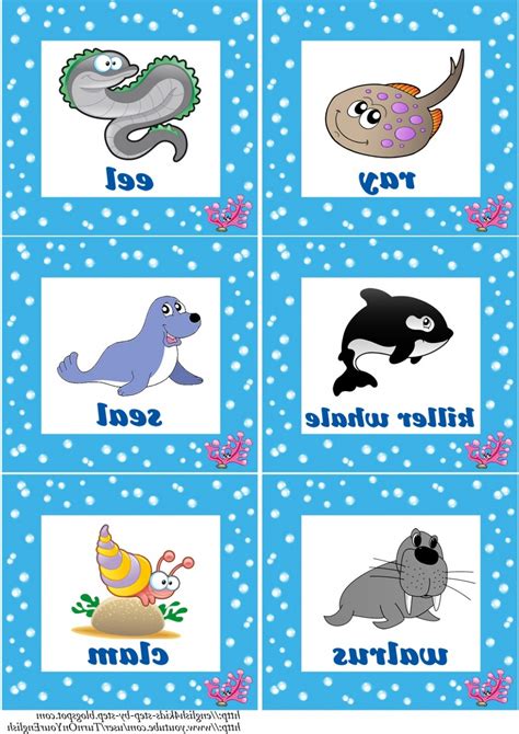 Wild Animals Clipart With Names 10 Free Cliparts Download Images On