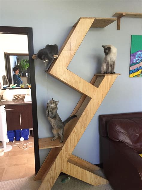 Three Cats Sitting On Top Of Wooden Shelves In A Living Room