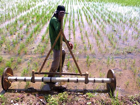 Inovasi di dalam bidang pertanian yang kini banyak diaplikasikan adalah modifikasi genetik saat proses pertumbuhan suatu tanaman. BP3K TIROANG.cyber extension: INOVASI TEKNOLOGI PEMUPUKAN ...