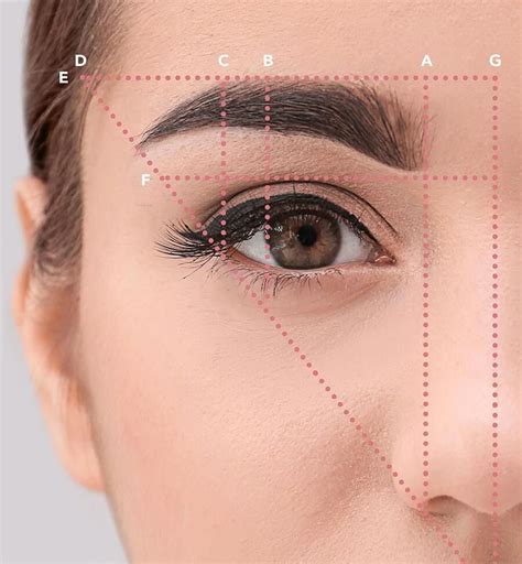 Eyebrow Shapes For Women Eyebrow Guide What Do Eyebrows Do 20190510