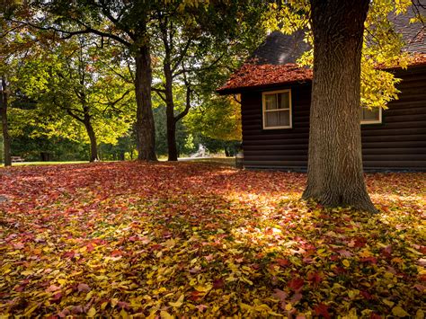 Walk Nature Park Bench Leaves Colorful House Trees Forest