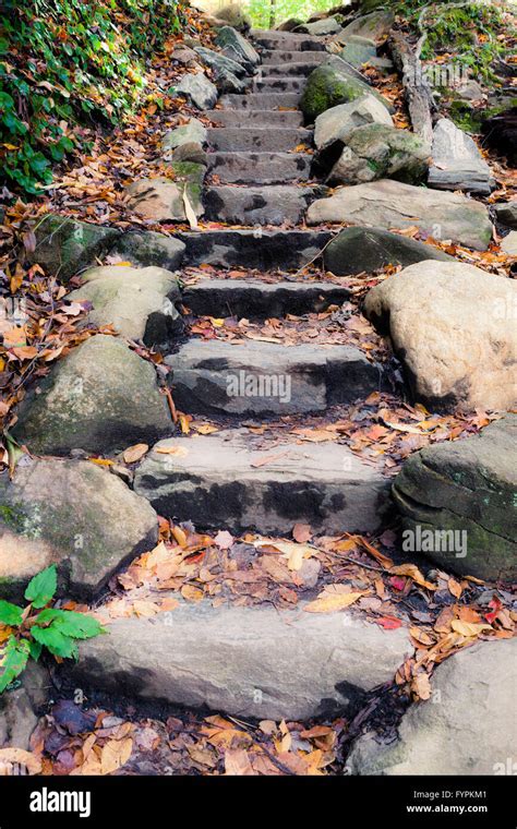 Stone Pathway At The Forest Stock Photo Alamy