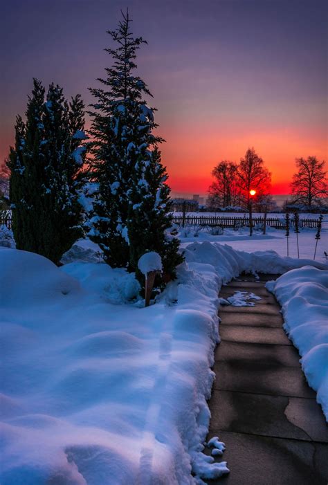 winter sunset - null | Winter scenery, Winter sunset, Winter landscape
