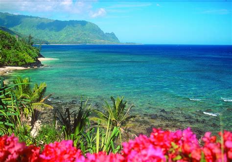 Free Wallpaper Hawaii Beach Scenes Wallpapersafari