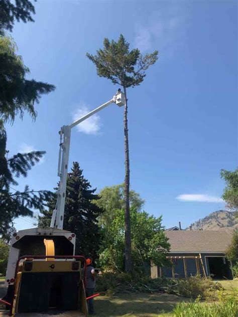 Gallery Twin Rivers Tree Service And Landscaping