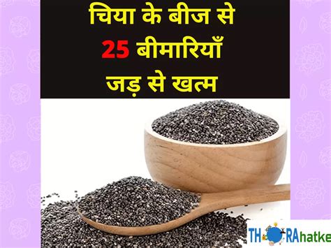 चिया बीज के फायदेउपयोग और नुकसान Benefits Of Chia Seeds In Hindi