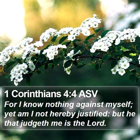 1 Corinthians 44 Asv For I Know Nothing Against Myself Yet Am I Not