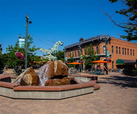 8 Facts You Didnt Know About Fort Collins