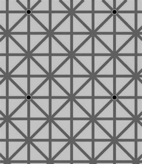 The Science Behind The Viral Black Dot Hermann Grid Optical Illusion