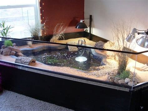 Land And Water Turtle Tank For The Love Of Animals Pinterest