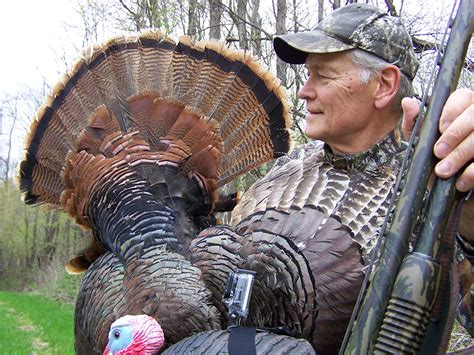 Wisconsin Turkey Forecast for 2016 - Game & Fish