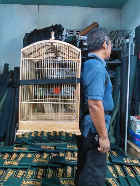 Rekomendasi burung murah suara mantap. Tas Ransel Sangkar Burung Murah - SuryaGuna.com Distributor Alat Rumah Tangga | Tas Pos | Tas ...