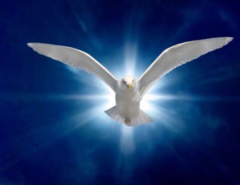 Pin By Catholic On Precious Holy Spirit Paraclete Holy Spirit Dove