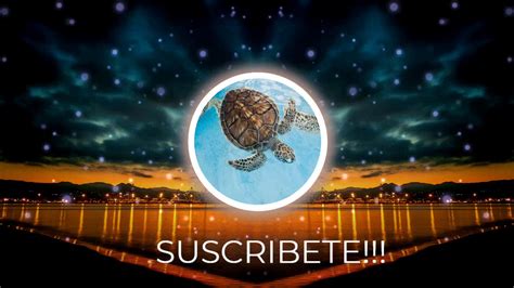 If you want to withdraw a claim or monetize your youtube video, then you need to buy a license, or become my patron. Musica Relajante🆕Inspirational Pop🆓(No Copyright) 🐚Uplifting Background🐢Music🌊Videos🎼(DOWNLOAD ...