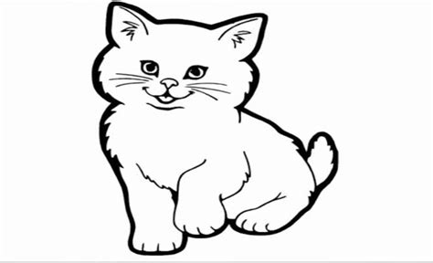 24 Sketsa Gambar Hewan Kucing Konsep Spesial