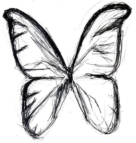 Simple Butterfly Drawing At Getdrawings Free Download