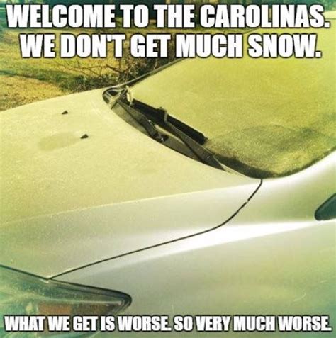 Sc Gets Pollen Not Snow Southern Sayings Memes Funny Memes