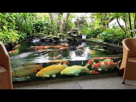 Garden Designs Top 3 Most Beautiful Backyard Fish Ponds In The World