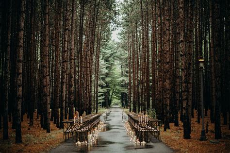 The 6 Best Forest Wedding Venues In Washington State — Love Arrow