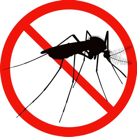 Mosquito Control Aai Pest Control Blog