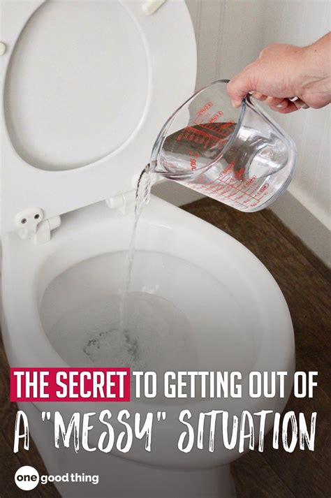 Famous How To Solve Clogged Toilet References