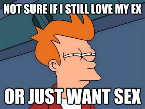 Not Sure If I Still Love My Ex Or Just Want Sex Futurama Fry Quickmeme