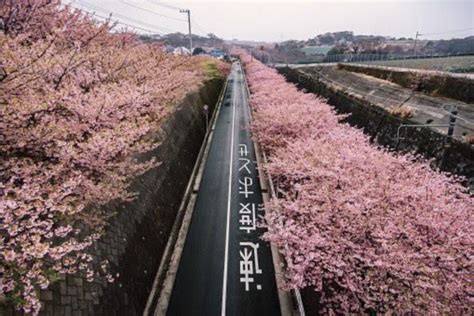 What Malaysians Can Learn From Asphalt Roads In Japan By Leesan
