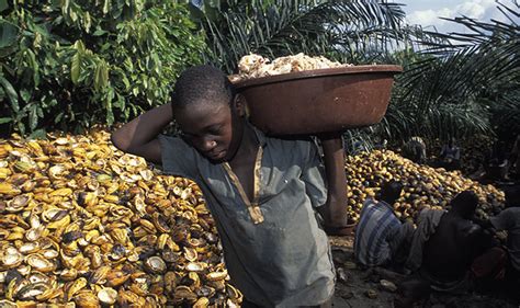 Shifting cultural attitudes around child labour is crucial and requires a hefty investment of time and resources. West Africa cocoa pricing model should inspire an end to ...