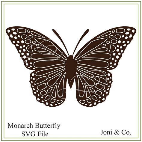Free 143 Butterfly Monarch Svg SVG PNG EPS DXF File