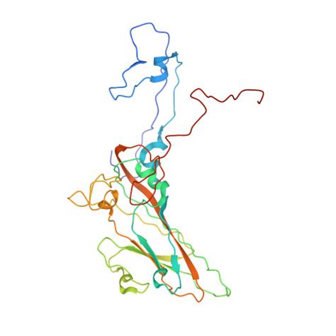 Rcsb Pdb 1h8t Echovirus 11