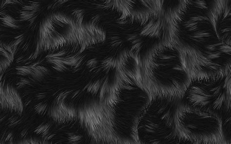 Black Fur Texture Macro Animal Fur Brown Black Fur Black Fur