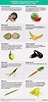 Infographic: 5 popular foods genetically modified by humans-before GMOs ...
