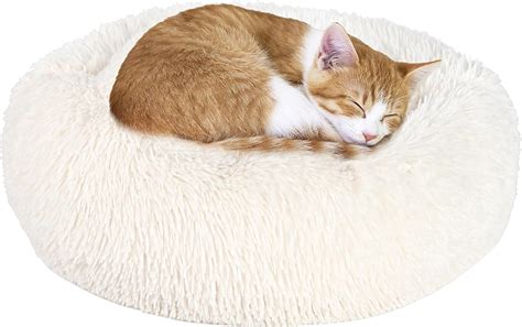 Calming Cat Bed For Indoor Cat Anti Anxiety Cat Bed