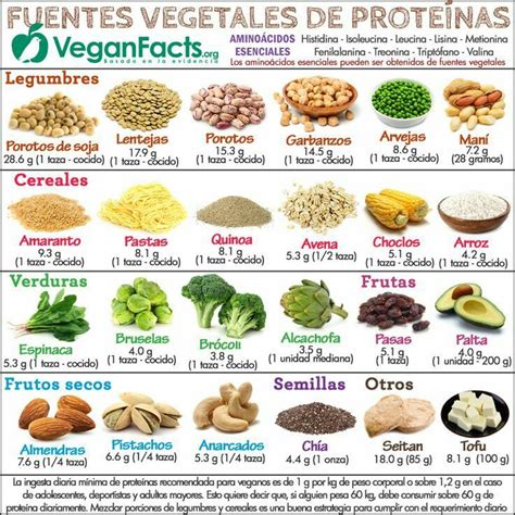 Proteína Vegetal Proteinas Alimentação Fitness Proteínas Vegetais