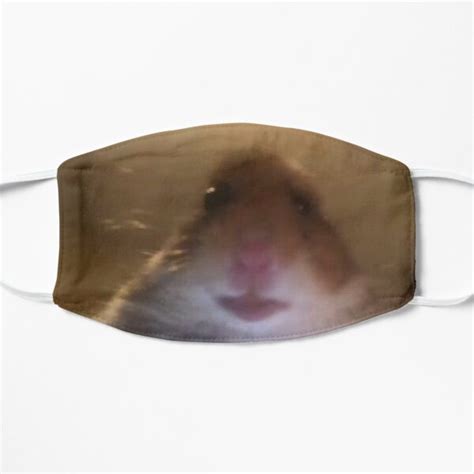 コレクション Hamster Meme  Pfp 320383