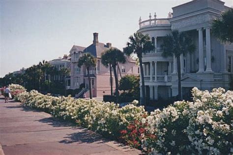 Battery Row Mansions Charleston Sc Picture Of Charleston Coastal