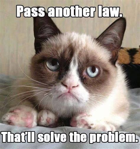 Top 40 Funny Grumpy Cat Pictures And Quotes Quotes And Humor