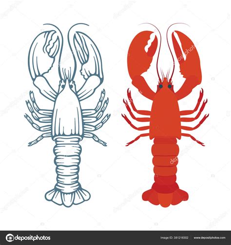 Lobster Sketch Realistic Drawn Lobsters Vector Illustrations Set Part