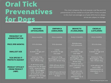 Surviving Tick Season With Dogs Everything You Need To Know To Keep